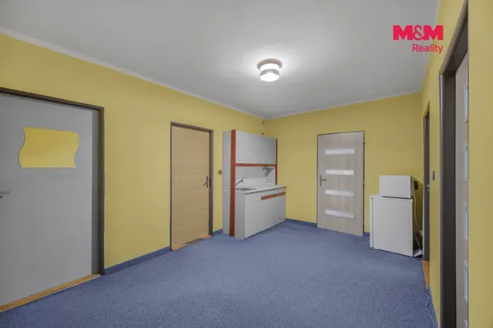 Prodej obchodního prostoru, Pardubice - Zelené Předměstí, Mikulovická, 330 m2