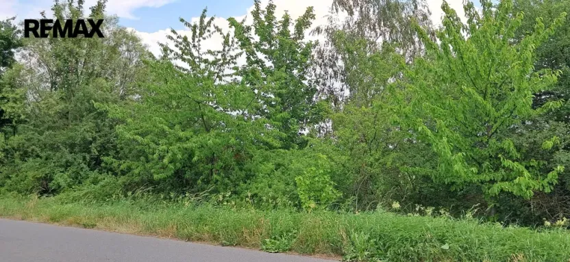 Prodej lesa, Rožmitál pod Třemšínem, 3871 m2