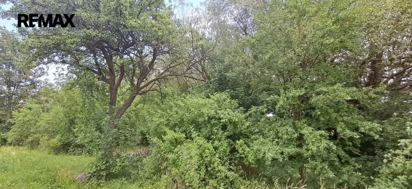 Prodej lesa, Rožmitál pod Třemšínem, 3871 m2