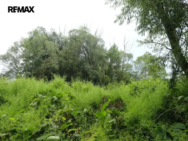 Prodej lesa, Rožmitál pod Třemšínem, 3871 m2