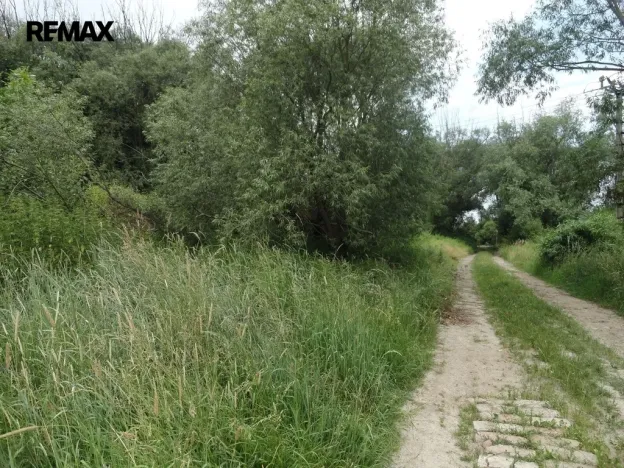 Prodej lesa, Rožmitál pod Třemšínem, 3871 m2
