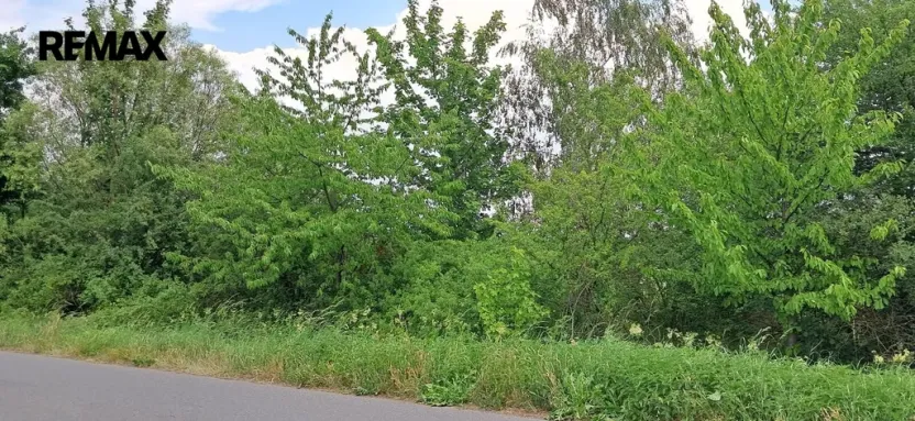 Prodej lesa, Rožmitál pod Třemšínem, 3871 m2