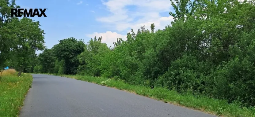 Prodej lesa, Rožmitál pod Třemšínem, 3871 m2