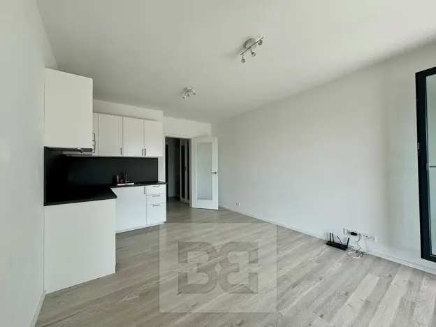 Pronájem bytu 1+kk, Brno, Střední, 32 m2
