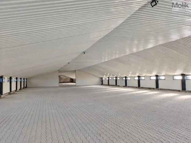 Pronájem skladu, Hrobčice - Razice, 1700 m2