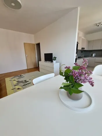 Pronájem bytu 2+kk, Brno, Trýbova, 54 m2