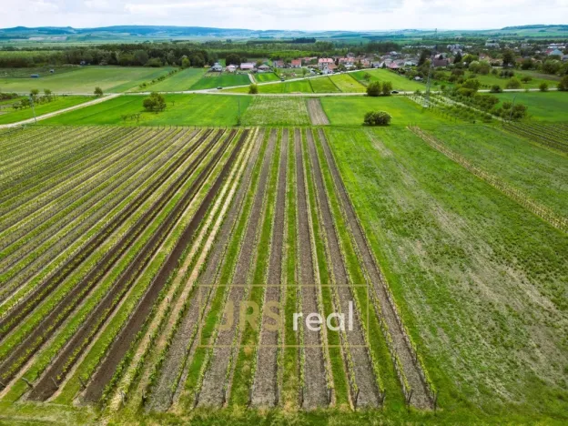 Prodej pozemku, Březí, 3474 m2