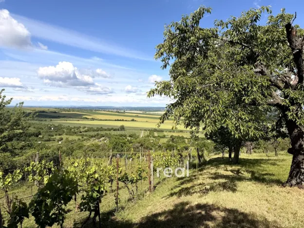 Prodej chaty, Strážnice, 23 m2