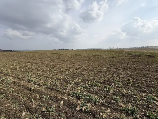 Prodej pole, Toužim - Kojšovice, 25962 m2