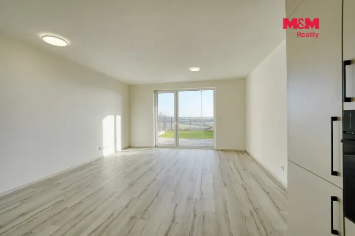 Pronájem bytu 1+kk, Plzeň - Litice, Srncová, 36 m2
