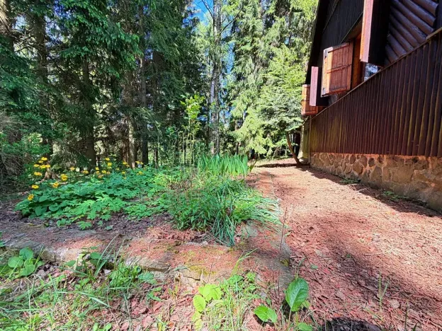 Prodej chaty, Borová, 53 m2