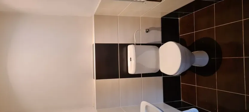 Pronájem rodinného domu, Přelíc, 320 m2
