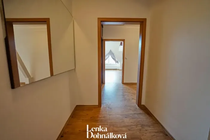 Pronájem bytu 3+kk, Hodonín, 115 m2