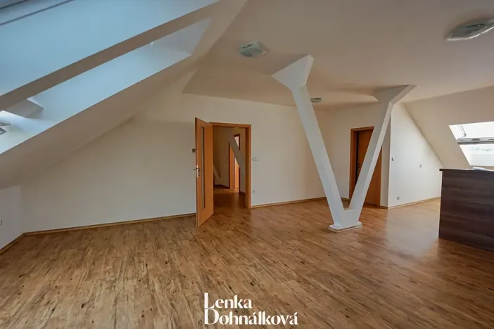 Pronájem bytu 3+kk, Hodonín, 115 m2