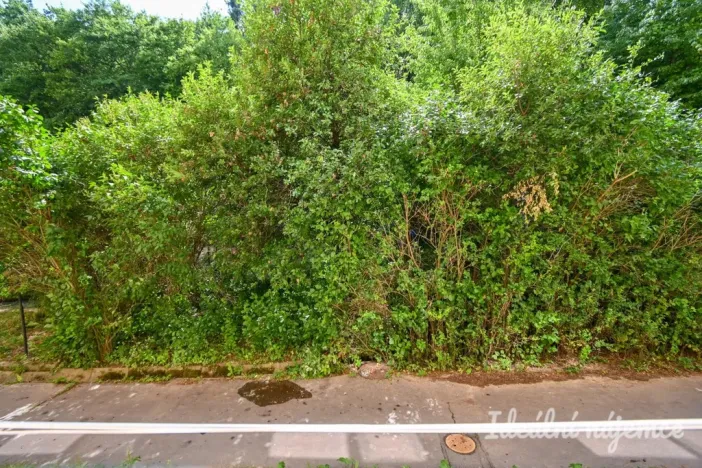 Pronájem bytu 1+1, Brno, Jasanová, 34 m2