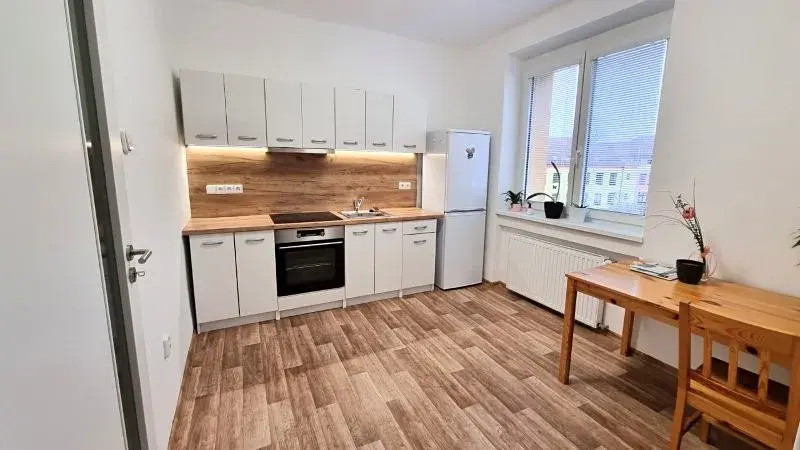 Pronájem bytu 1+1, Jihlava, Dr. Jiřího Procházky, 49 m2
