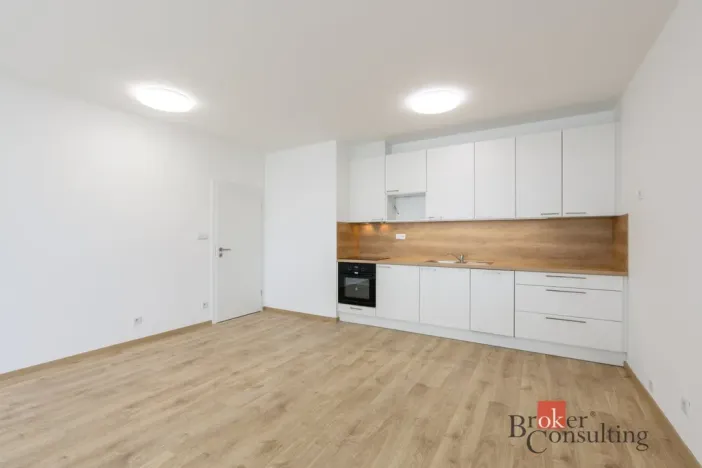 Pronájem bytu 2+kk, Plzeň - Jižní Předměstí, Železná, 60 m2
