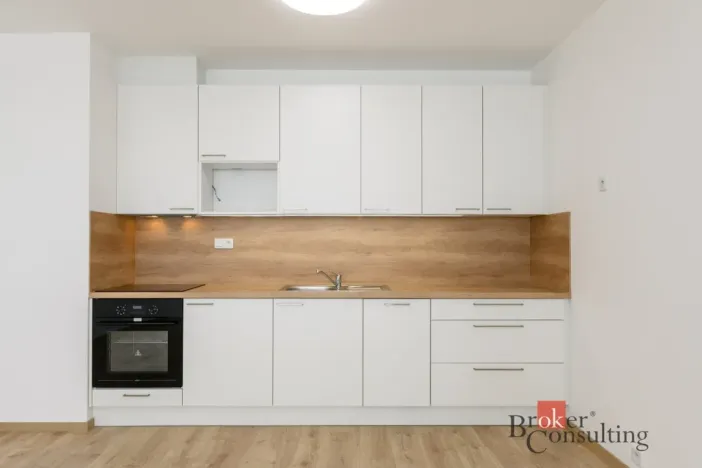 Pronájem bytu 2+kk, Plzeň - Jižní Předměstí, Železná, 60 m2