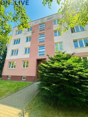 Prodej bytu 2+1, Plzeň, Brojova, 55 m2