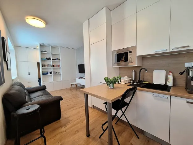 Pronájem bytu 1+kk, Brno, Přírodní, 35 m2