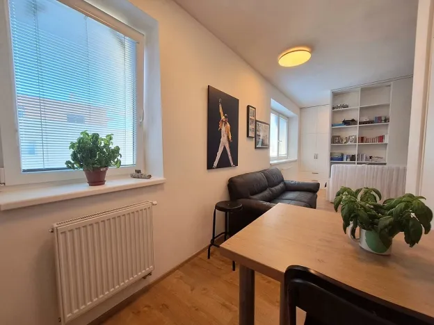 Pronájem bytu 1+kk, Brno, Přírodní, 35 m2