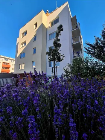 Pronájem bytu 1+kk, Brno, Přírodní, 35 m2