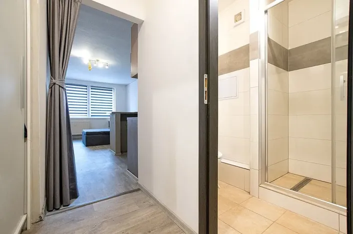 Prodej bytu 1+kk, České Budějovice, K. Chocholy, 30 m2