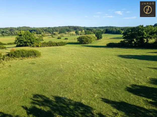 Prodej pozemku pro bydlení, Mirotice - Bořice, 10784 m2