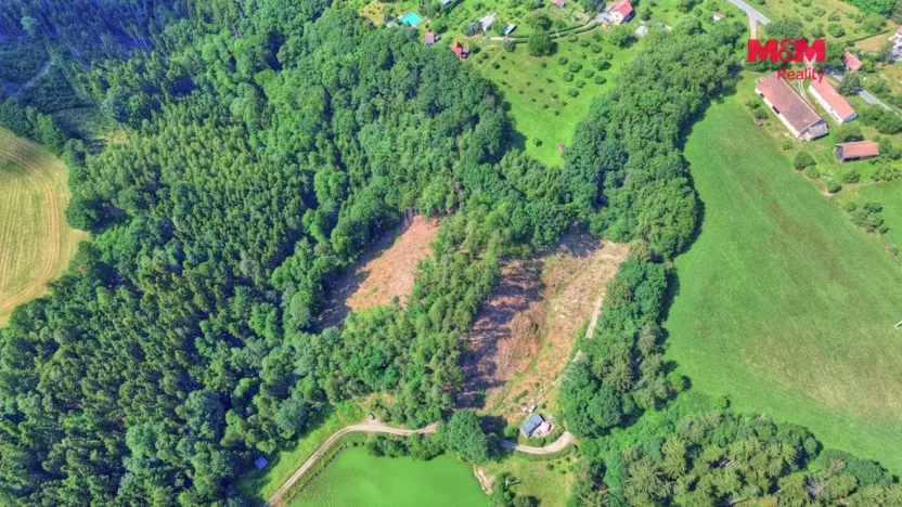 Prodej lesa, Ohnišov - Zákraví, 32996 m2
