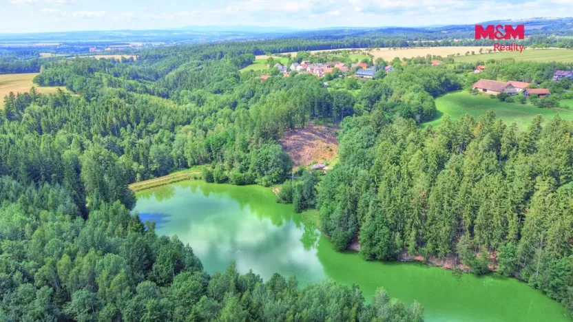 Prodej lesa, Ohnišov - Zákraví, 32996 m2