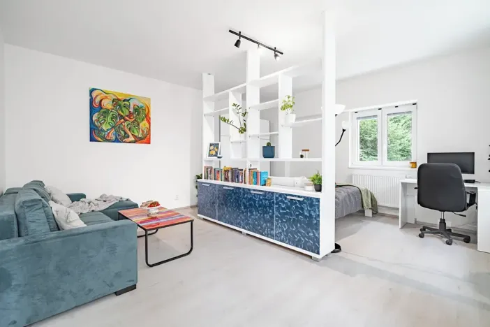 Prodej bytu 1+1, Brno, Francouzská, 47 m2