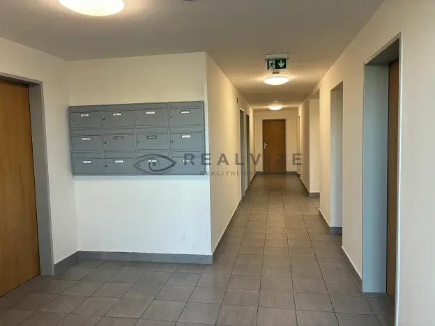 Pronájem bytu 2+kk, České Budějovice, Františka Jelena, 58 m2