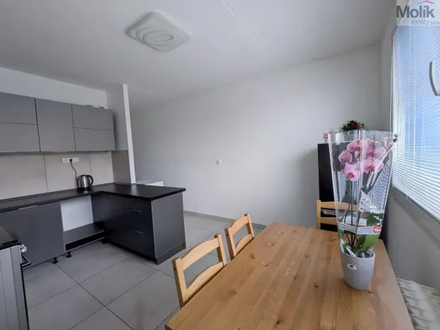 Prodej bytu 1+1, Teplické Předměstí, Sídliště Za Chlumem, 35 m2
