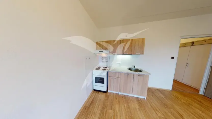 Pronájem bytu 1+kk, Plzeň, Hodonínská, 31 m2