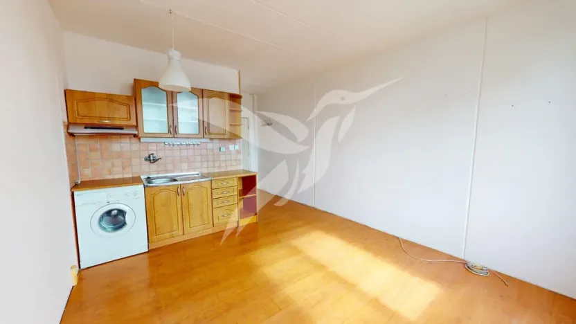 Pronájem bytu 1+kk, Plzeň, Mandlova, 20 m2