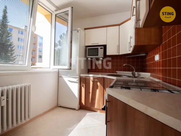 Pronájem bytu 1+1, Jihlava, Březinova, 33 m2