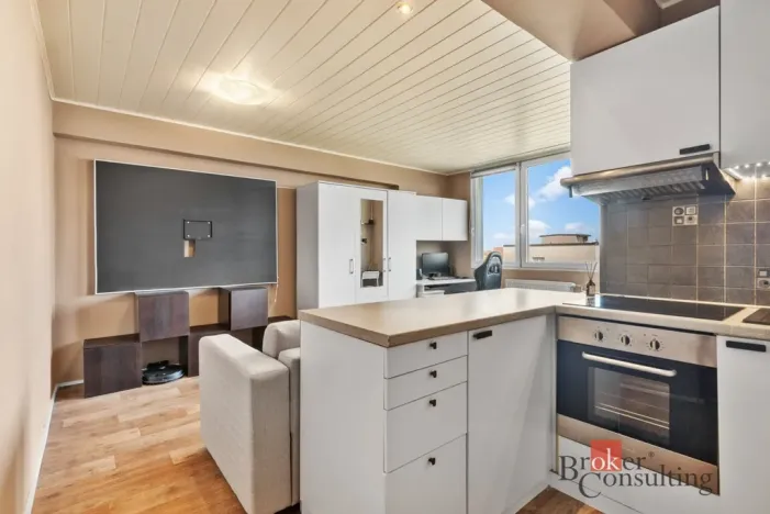Pronájem bytu 2+kk, Mladá Boleslav - Mladá Boleslav II, 17. listopadu, 36 m2