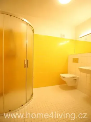 Pronájem bytu 1+kk, Brno, Řadová, 20 m2