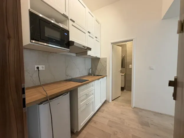 Pronájem bytu 1+kk, Praha - Nové Město, Kateřinská, 30 m2