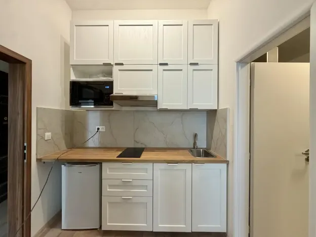 Pronájem bytu 1+kk, Praha - Nové Město, Kateřinská, 30 m2