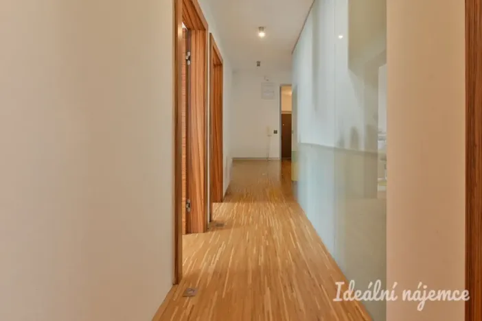 Pronájem bytu 4+kk, Brno, Trýbova, 131 m2