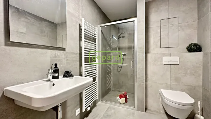 Pronájem bytu 1+kk, Brno - Židenice, Koperníkova, 44 m2