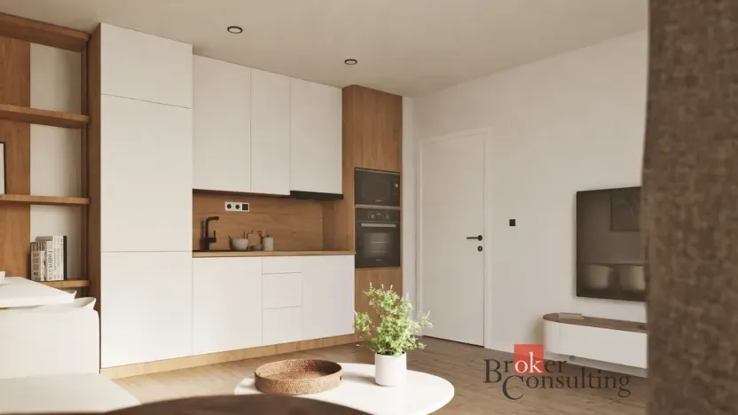 Prodej bytu 1+kk, Ostrava - Moravská Ostrava, Cihelní, 30 m2