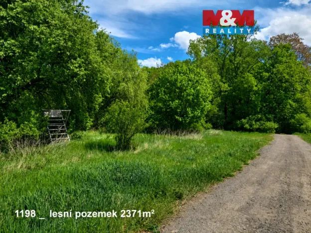 Prodej pole, Pňov-Předhradí - Pňov, 142115 m2