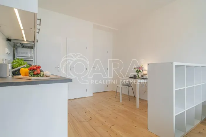 Pronájem bytu 1+kk, Praha - Holešovice, Jankovcova, 27 m2
