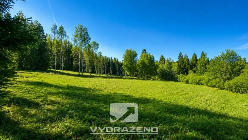 Prodej pole, Josefův Důl, 6990 m2