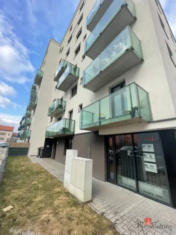 Pronájem bytu 2+kk, Plzeň - Jižní Předměstí, Poděbradova, 49 m2