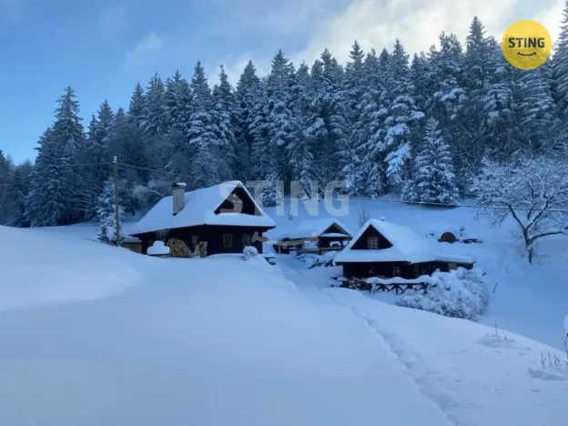 Prodej historického objektu, Hutisko-Solanec - Solanec pod Soláněm, 2989 m2