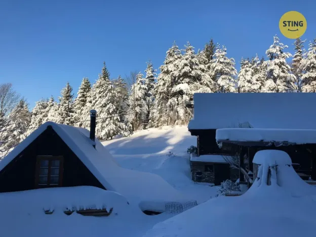 Prodej historického objektu, Hutisko-Solanec - Solanec pod Soláněm, 2989 m2