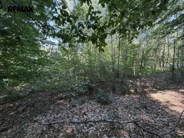 Prodej pozemku pro bydlení, Klopina, 439 m2